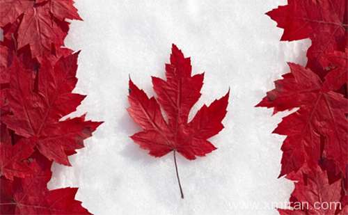 加拿大签证材料翻译-加拿大签证材料翻译公司推荐